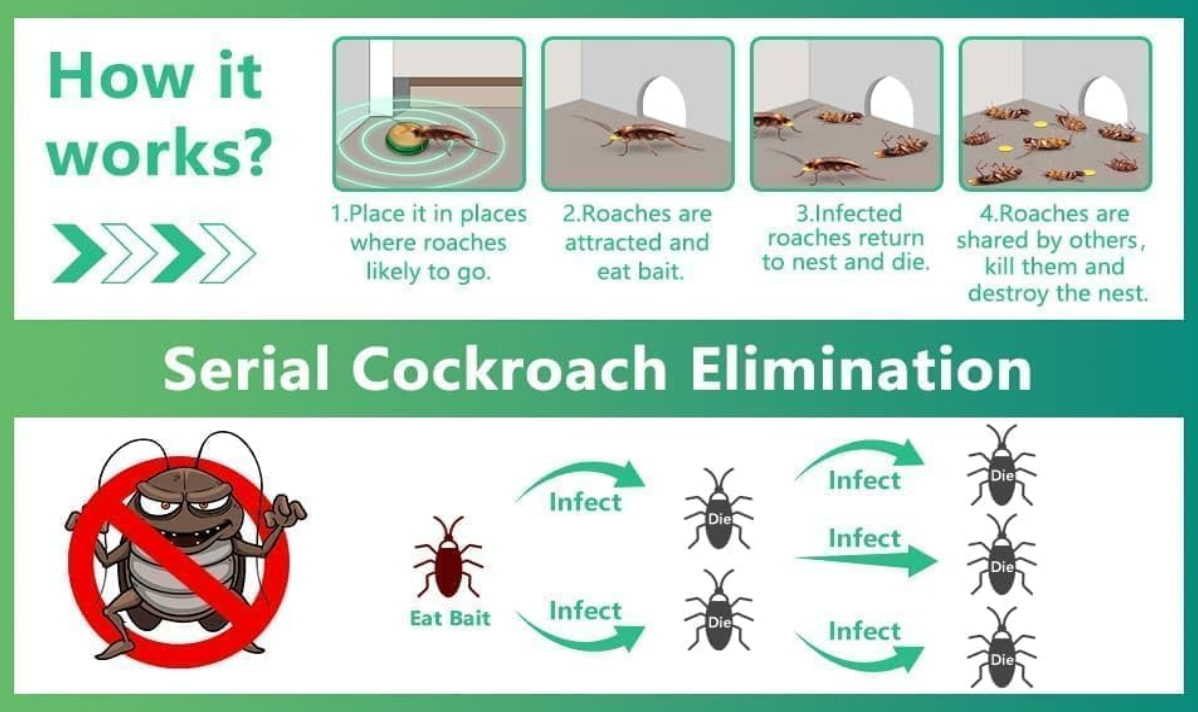 Cockroach Killer Gel (Pack of 24 pcs) | Powerful & Safe Roach Repellent | Keep Cockroaches Away Easily | Long-Lasting Pest Control for Home, Kitchen & Bathroom